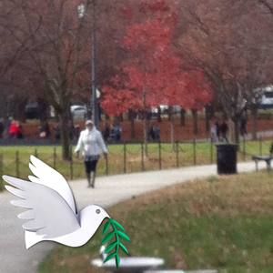 Meet your Posher, Leila